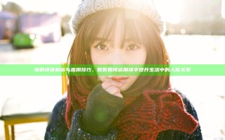 缘的拼音解析与应用技巧，教你如何运用缘字提升生活中的人际关系