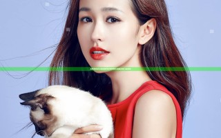 太吾绘卷怎么提高精纯境界 相枢化身能获得几点精纯