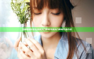 恐怖奶奶2怎么关闭大门的电 关闭大门的电方法介绍