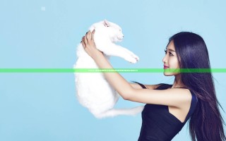 DNF3.7版本冰结师怎么玩 新版冰结师最强技能加点攻略分享