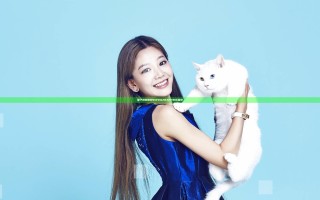 茄子视频官网WWWQZ8APP在线播放