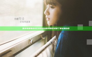 顺丰快递电话95338查询服务 助您快速了解运输动态