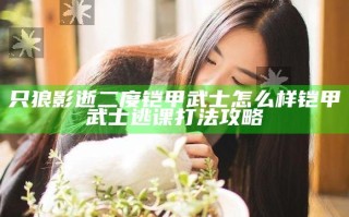 只狼影逝二度铠甲武士怎么样 铠甲武士逃课打法攻略