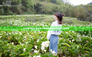 97影院理论午夜伦不卡偷拍解析与观影体验分享指南