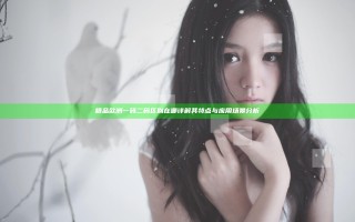 精品欧洲一码二码区别在哪 详解其特点与应用场景分析