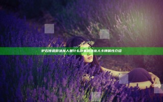 炉石传说辟法龙人是什么效果 辟法龙人卡牌属性介绍