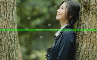 成人短篇合集500字左右作文深度解析与推荐阅读指南