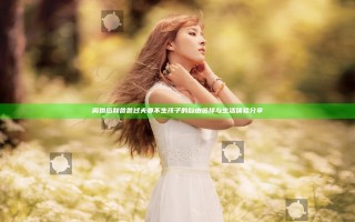 离婚后和爸爸过夫妻不生孩子的自由选择与生活体验分享