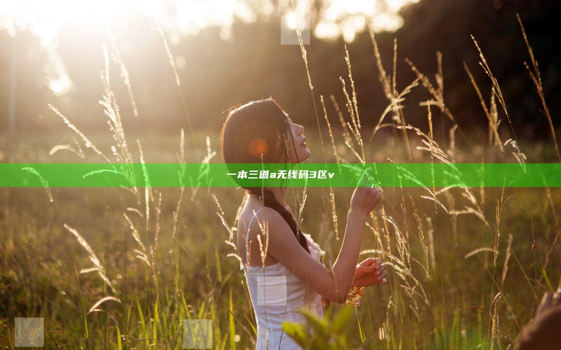 一本三道a无线码3区v