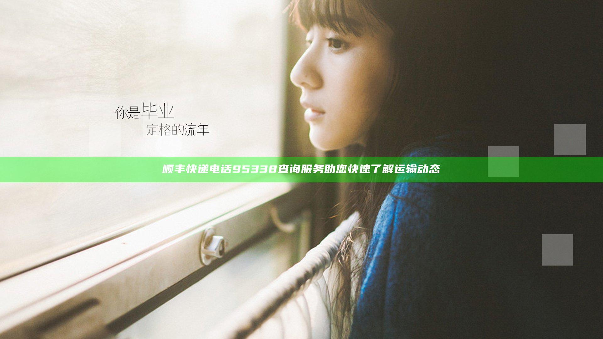 顺丰快递电话95338查询服务 助您快速了解运输动态